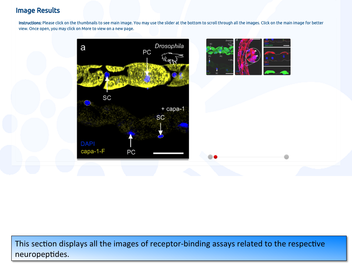 Slide25